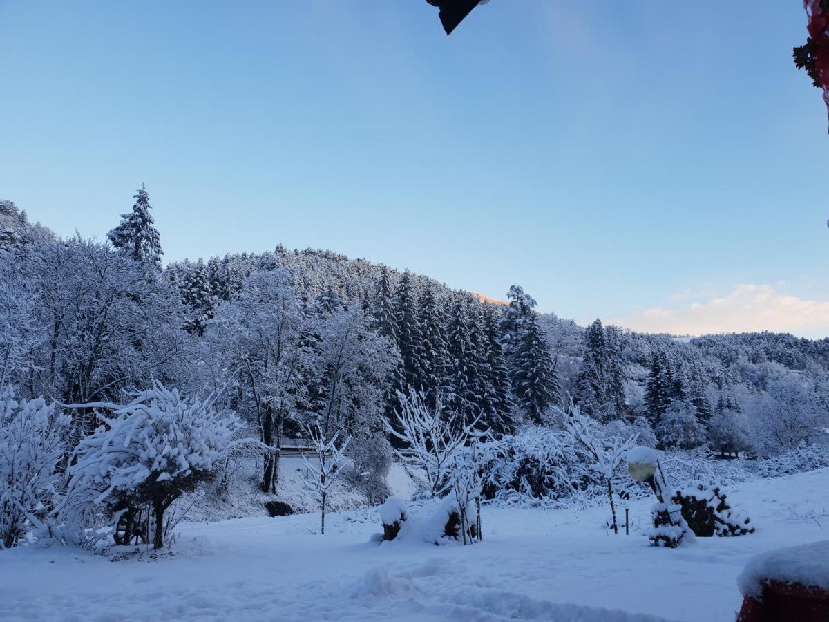 B&B Il Bagarello Palazzuolo Sul Senio Exteriér fotografie
